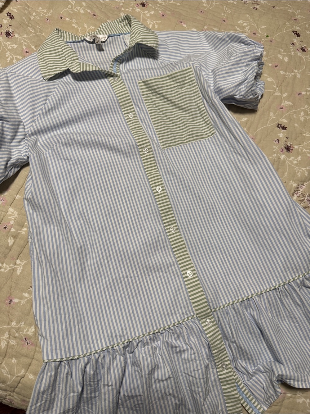 crown & ivy Blue Stripe Button-Front Shirt Dress with Green Accents